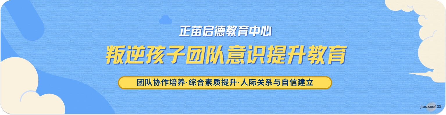 叛逆孩子团队意识提升教育