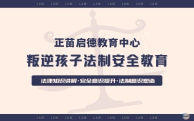 叛逆孩子法制安全教育