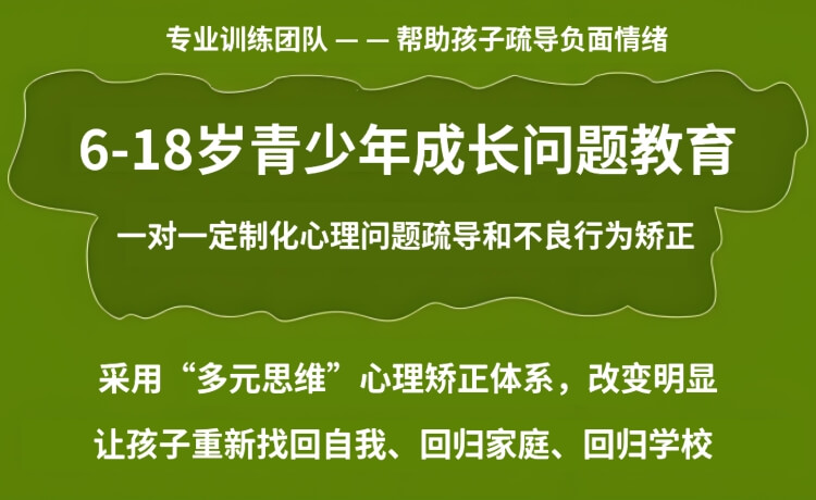 有名！河南周口太康县精选实力强的叛逆期孩子军事化矫正机构排名榜介绍